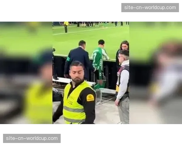 一名球迷因向场内投掷杂物干扰对方边锋主罚角球被警方起诉